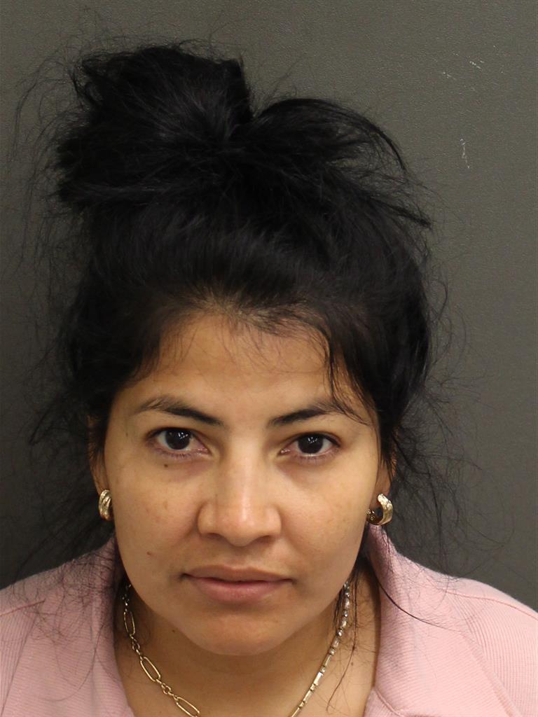  YASMI LIDIETH MATAMOROSMENDOZA Mugshot / County Arrests / Orange County Arrests