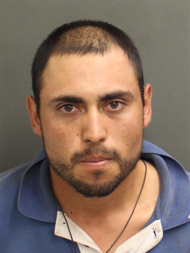  ELAISOR SILVALUEVNO Photo Image