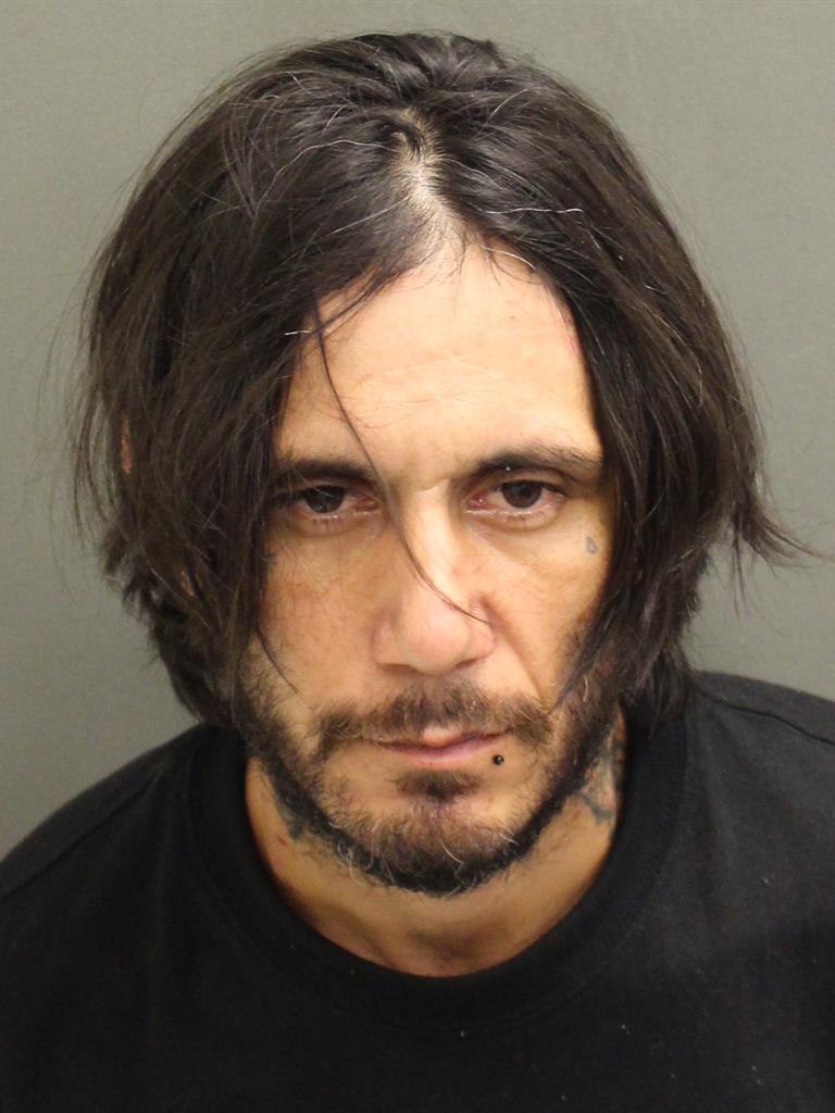  DYLAN DONALD RICCI Mugshot / County Arrests / Orange County Arrests
