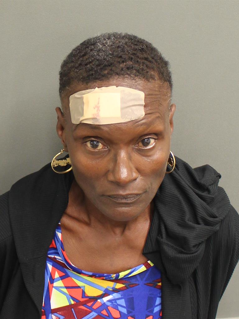  DEBORAH DENISE TYSON Mugshot / County Arrests / Orange County Arrests