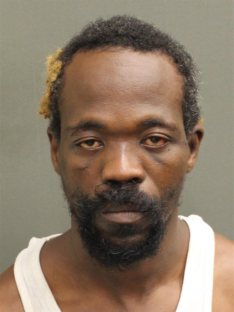  LOUIS JAMES WOODSON Mugshot / County Arrests / Orange County Arrests