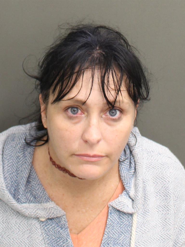  AMY LYNN DANIELSON Mugshot / County Arrests / Orange County Arrests