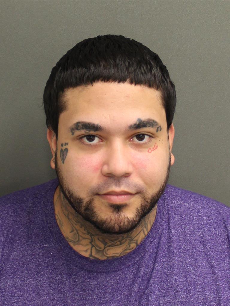  HECTOR ANDRES ROSAPADILLA Mugshot / County Arrests / Orange County Arrests