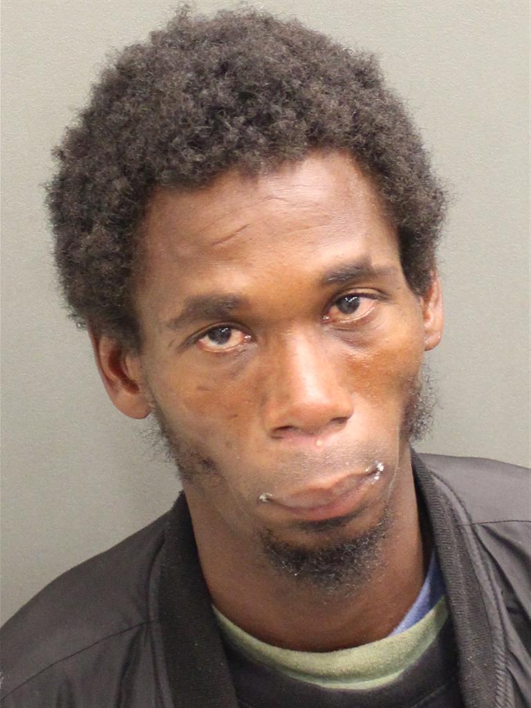  TERRANCE LEE Mugshot / County Arrests / Orange County Arrests