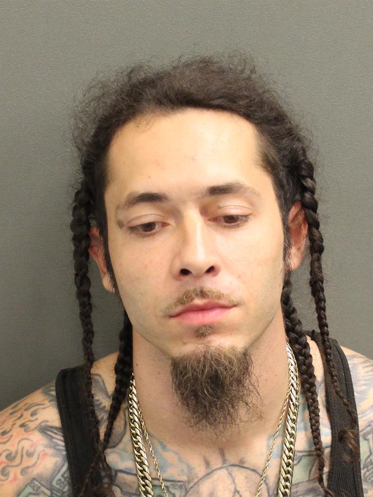  AUSTIN LEE PETERSON Mugshot / County Arrests / Orange County Arrests