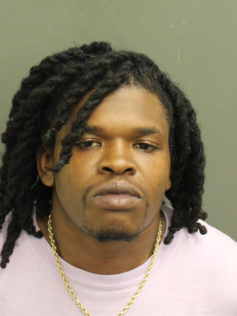  RAYNALL WILLIAM HUDGINS Mugshot / County Arrests / Orange County Arrests