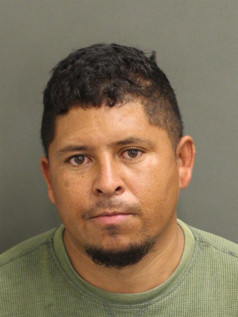  MAINOR DANILO ALCERRO Mugshot / County Arrests / Orange County Arrests