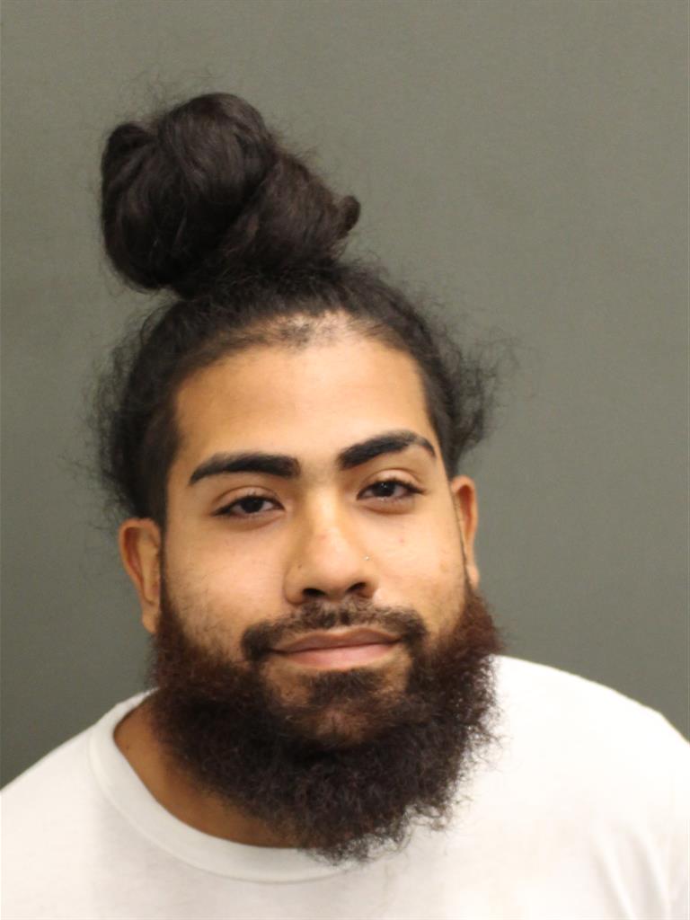  ELISEO TOLEDO Mugshot / County Arrests / Orange County Arrests