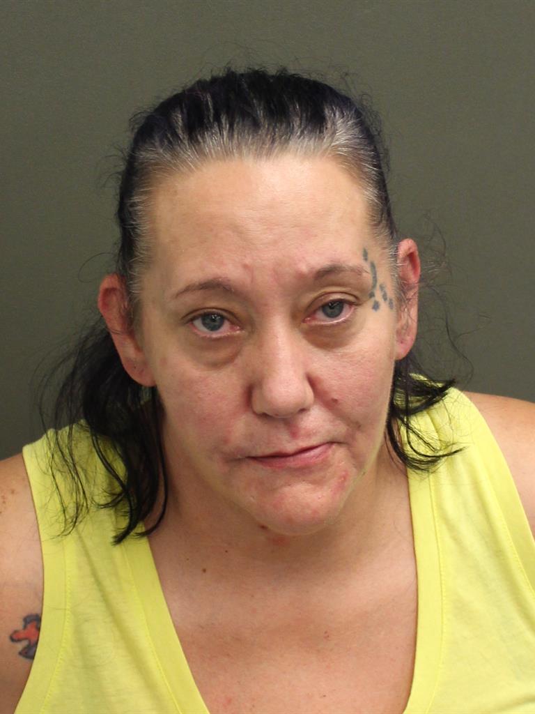 BRANDY LEE STEVENSON Mugshot BRANDY LEE STEVENSON Mugshot / County Arrests / Orange County Arrests