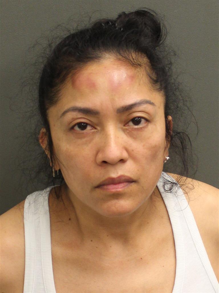  GLADIS LORENA BRANDEGIL Mugshot / County Arrests / Orange County Arrests