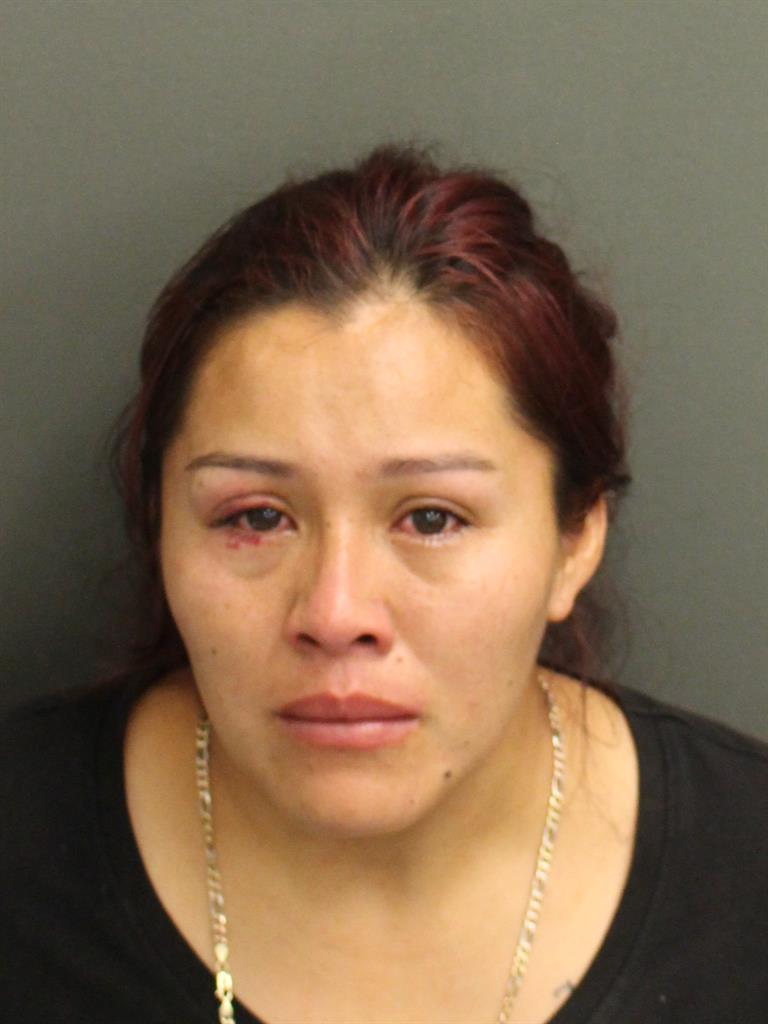  TANIA HERNANDES Mugshot / County Arrests / Orange County Arrests