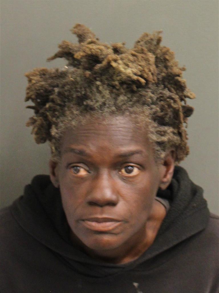  DOROTHY MICHELLE COLLINS Mugshot / County Arrests / Orange County Arrests