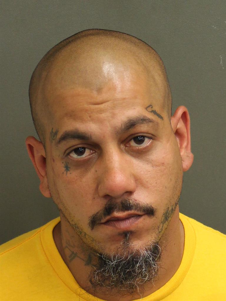  NICOLAUS RICCI Mugshot / County Arrests / Orange County Arrests