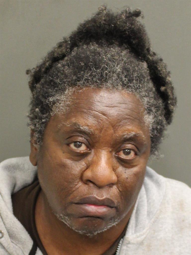  NADINE MINCEY Mugshot / County Arrests / Orange County Arrests