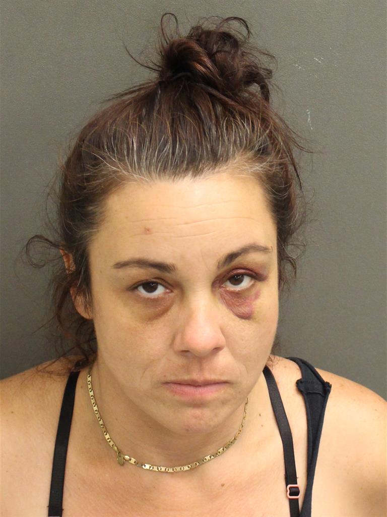  CHRISTINA ANN SANSEVERINO Mugshot / County Arrests / Orange County Arrests