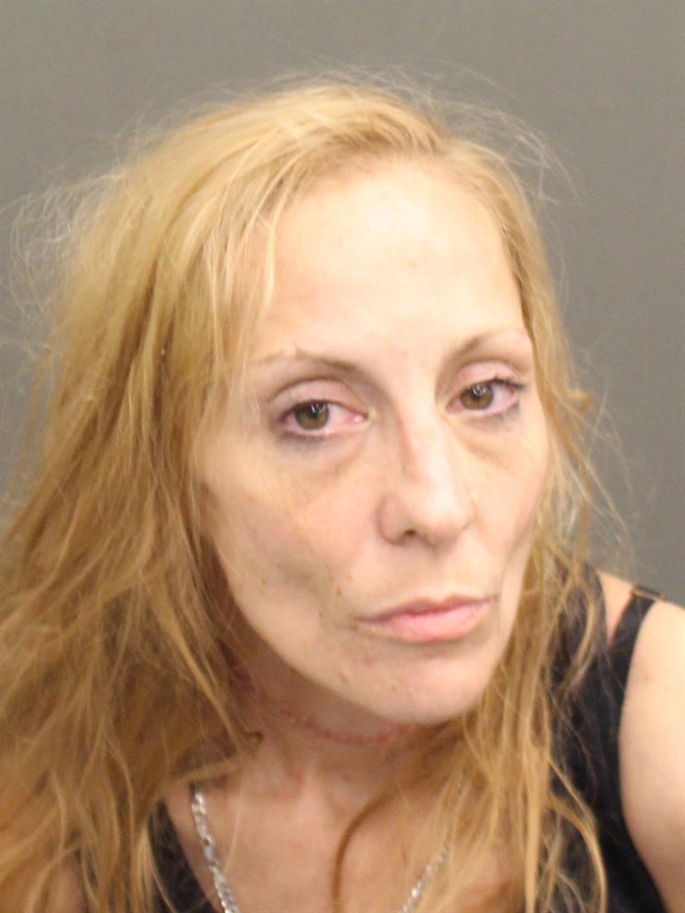 RHONDA LEE KNOCHENMUS Mugshot RHONDA LEE KNOCHENMUS Mugshot / County Arrests / Orange County Arrests