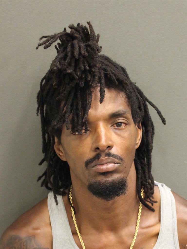  CHESTER DYSON Mugshot / County Arrests / Orange County Arrests