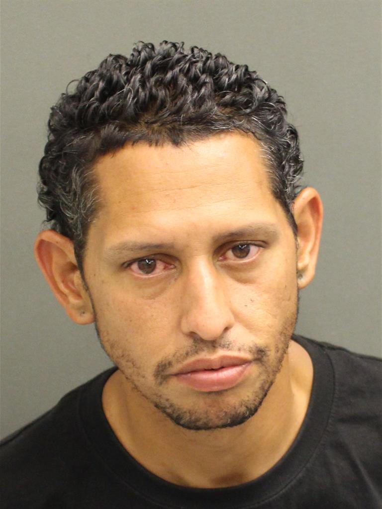 JOSE RAFAEL ACEVEDOBORIA Mugshot JOSE RAFAEL ACEVEDOBORIA Mugshot / County Arrests / Orange County Arrests