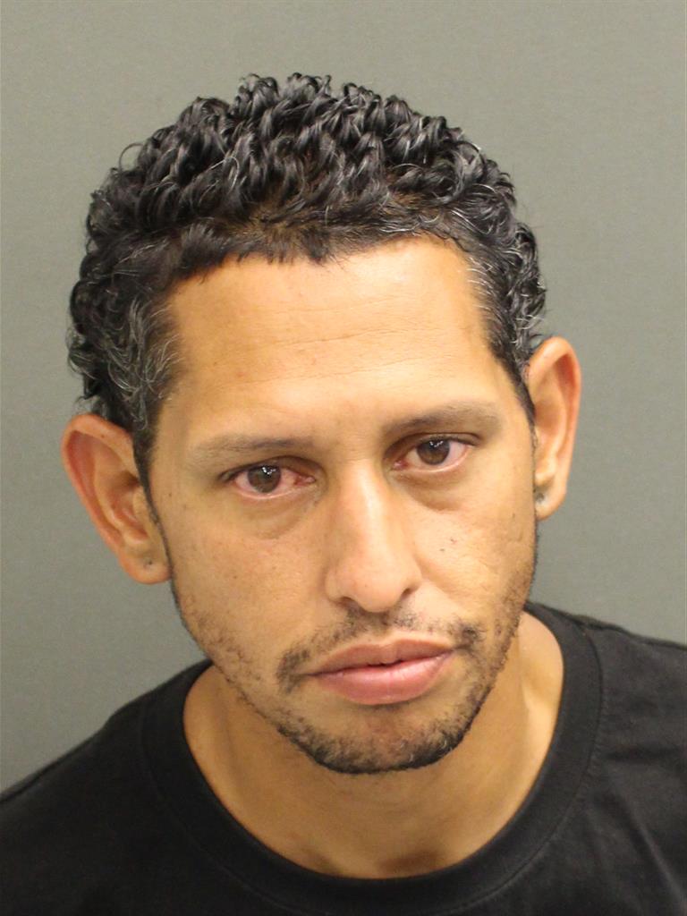  JOSE RAFAEL ACEVEDOBORIA Mugshot / County Arrests / Orange County Arrests