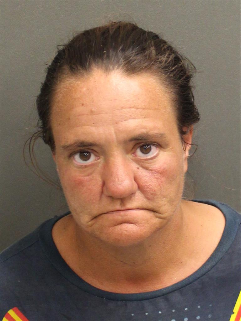  JULIE IRENE FELBER Mugshot / County Arrests / Orange County Arrests