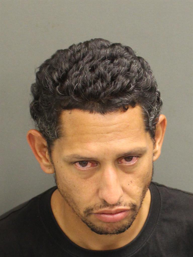  JOSE RAFAEL ACEVEDOBORIA Mugshot / County Arrests / Orange County Arrests