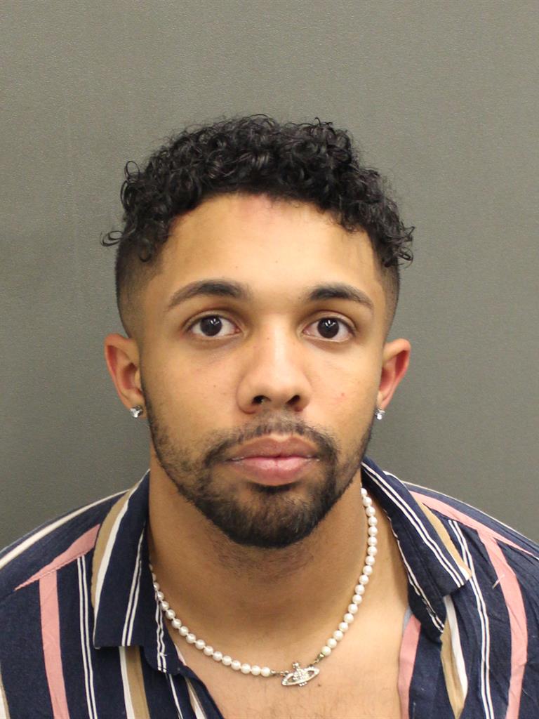  ALEXANDER MATTHEW LEE LOOMAN Mugshot / County Arrests / Orange County Arrests