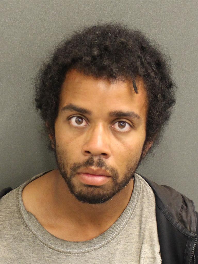 AINSLEY LAVELL WILLIAMS Mugshot