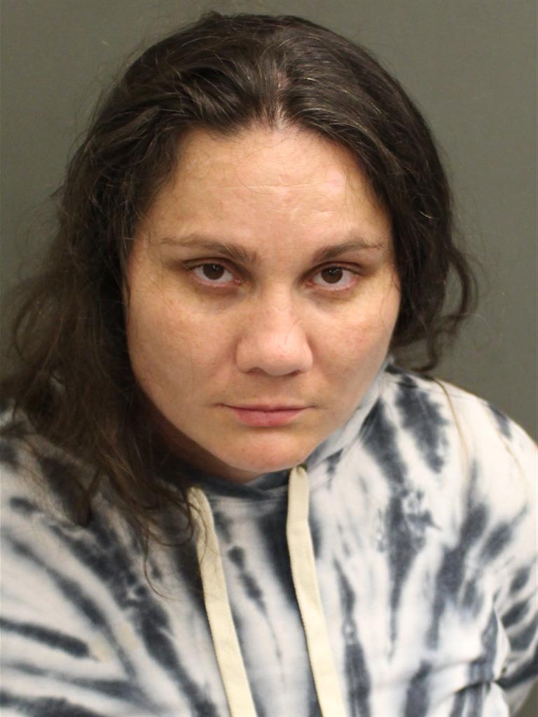  ASHLEY R HAVEL Mugshot / County Arrests / Orange County Arrests