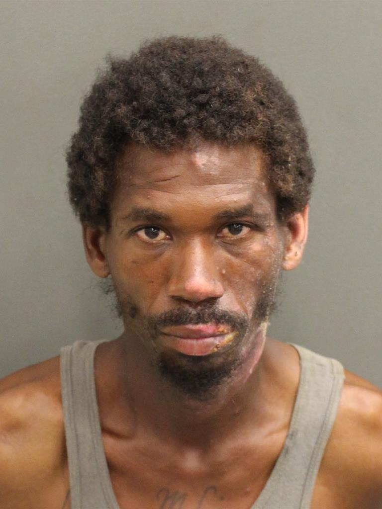  TERRANCE TERELL LEE Mugshot / County Arrests / Orange County Arrests