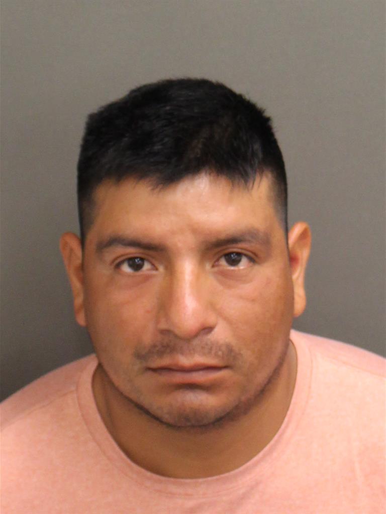  DOMINGO TOMA Photo Image