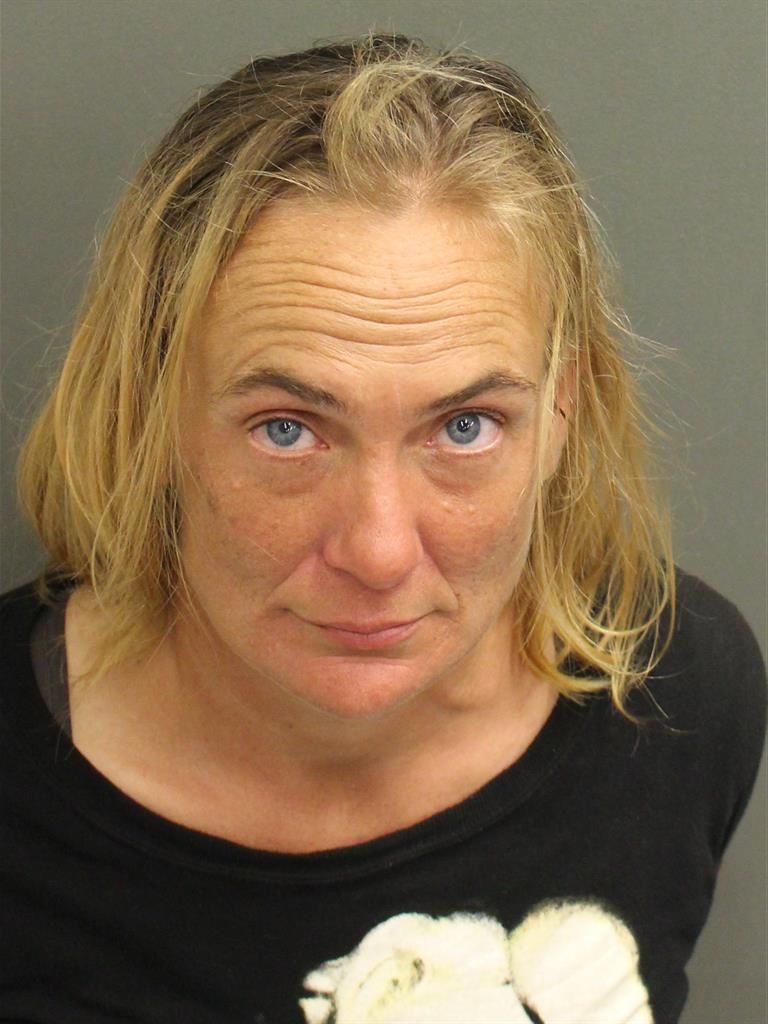  ERICA JEAN HORNSBY Mugshot / County Arrests / Orange County Arrests