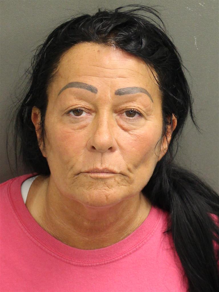  ARLEEN HILL Mugshot / County Arrests / Orange County Arrests