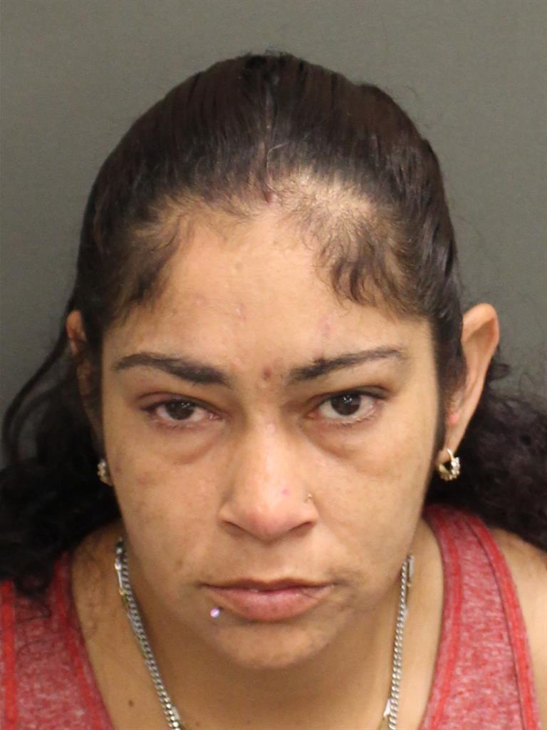  WENDY ENID FERNANDEZSANCHEZ Mugshot / County Arrests / Orange County Arrests