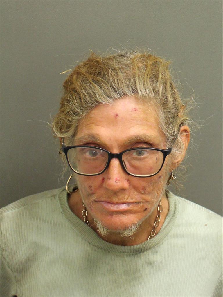  CYNTHIA LOU SCHNEIDERWIND Mugshot / County Arrests / Orange County Arrests