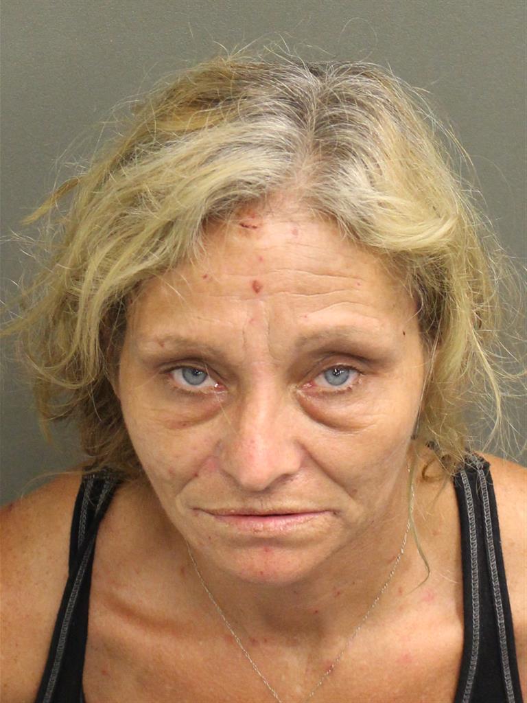  MICHELLE SHANNON HUDSON Mugshot / County Arrests / Orange County Arrests