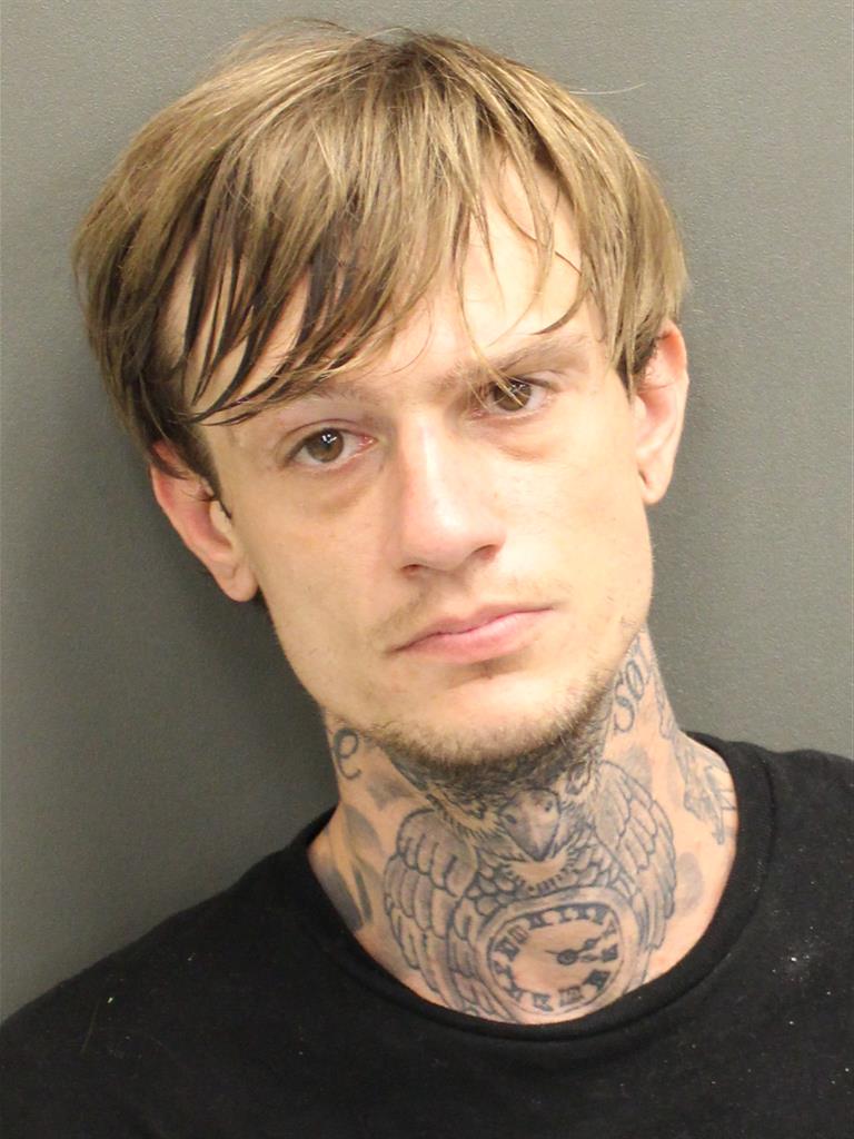  BRANDON COLE PALMER Mugshot / County Arrests / Orange County Arrests