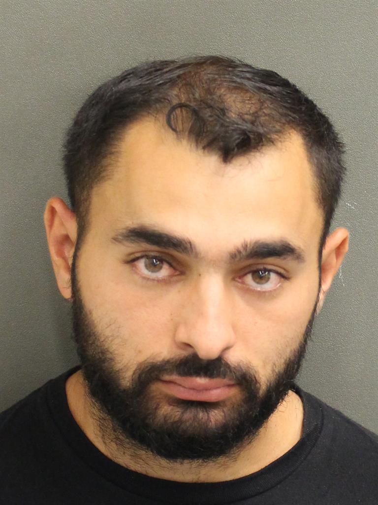 MARIUS GAGIU Mugshot / County Arrests / Orange County Arrests