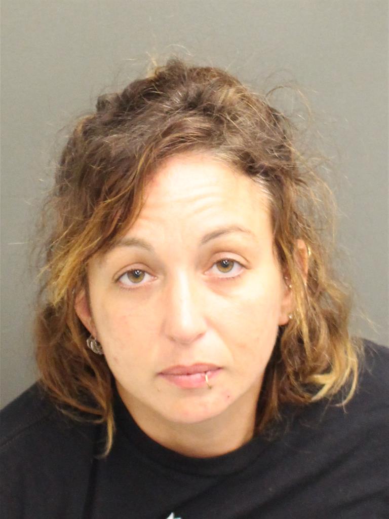  THERESA HAYES Mugshot / County Arrests / Orange County Arrests