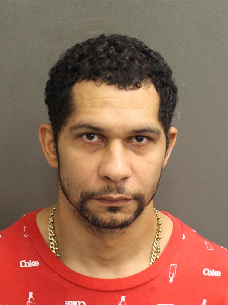  ALBERTO PAGANRIOS Mugshot / County Arrests / Orange County Arrests