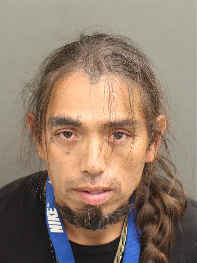  BRUCE MICHAEL IRONNECKLACE Mugshot / County Arrests / Orange County Arrests