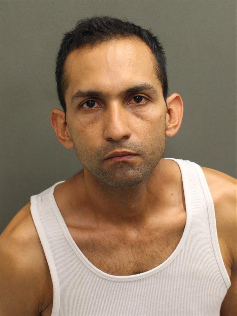  HORACIO ALFONSO BARBOZALEON Mugshot / County Arrests / Orange County Arrests