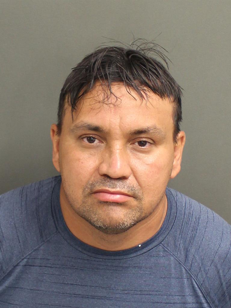  WLADIMIR MONTESDEOCAGARRIDO Mugshot / County Arrests / Orange County Arrests