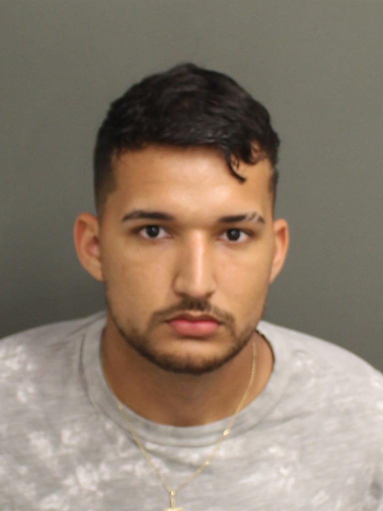  LUIS COSTAHOLLERBACH Mugshot / County Arrests / Orange County Arrests
