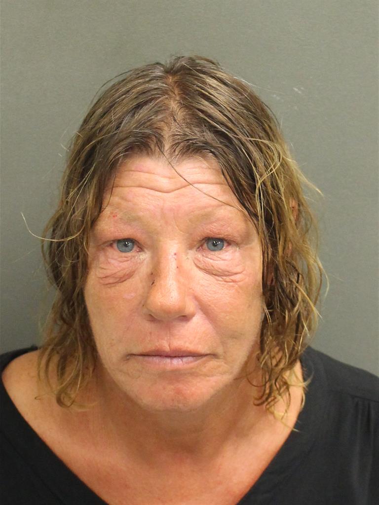  SUSAN JANE DRURY Mugshot / County Arrests / Orange County Arrests