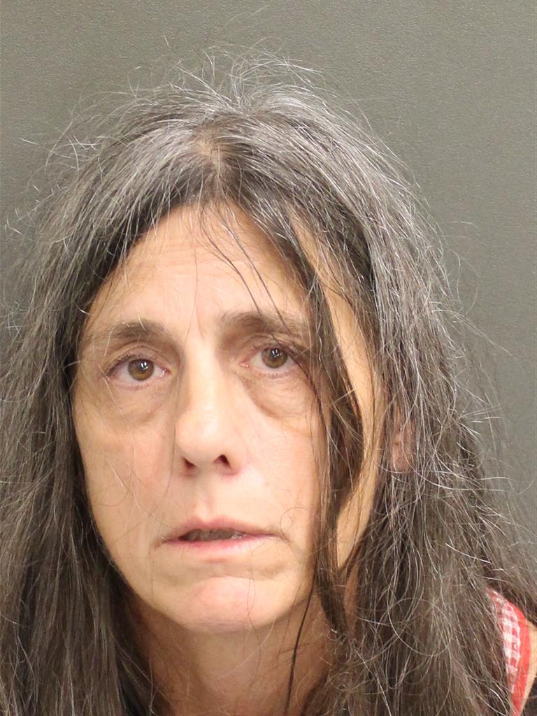  LISA ANN SLONE Mugshot / County Arrests / Orange County Arrests