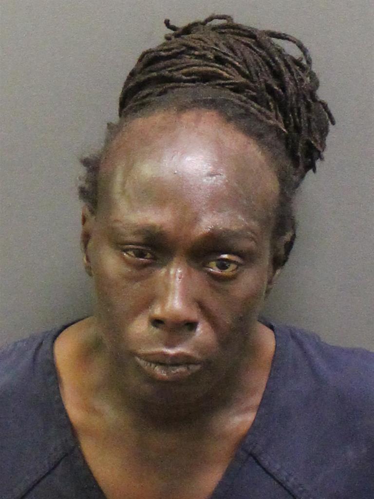  ELIZABETH ANNE LOWERY Mugshot / County Arrests / Orange County Arrests