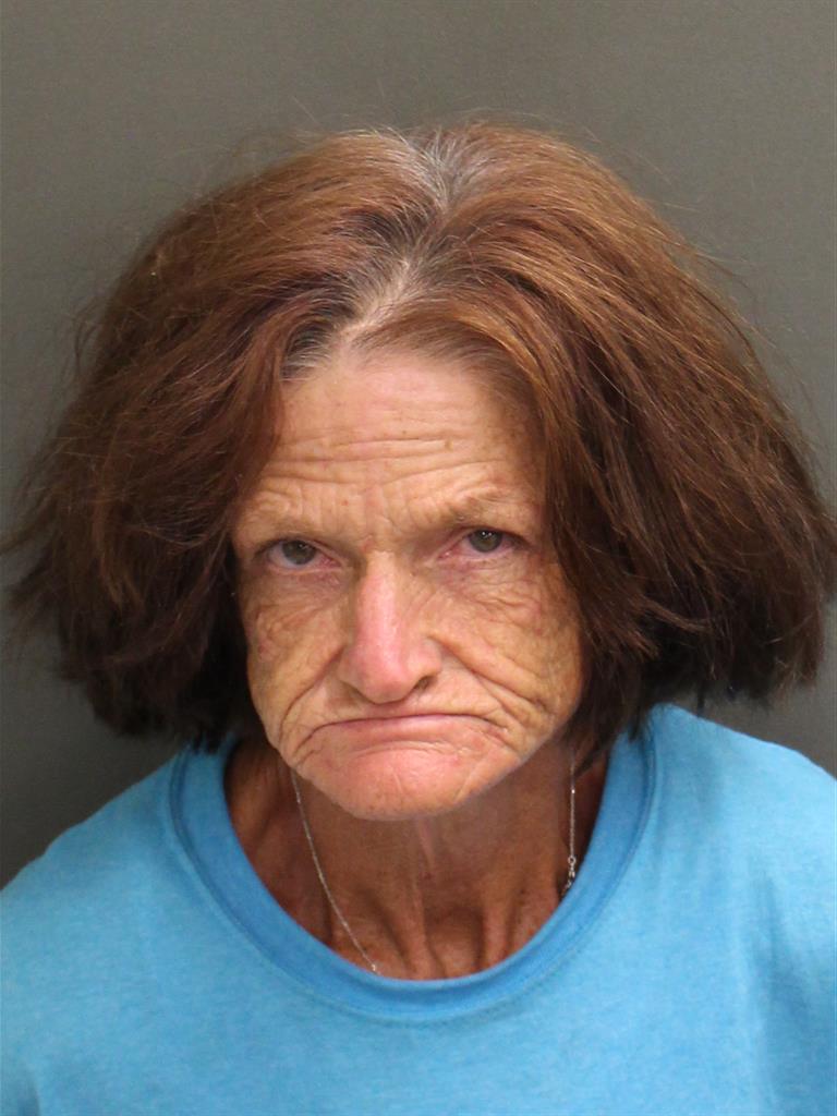  SHEILA MARIE SUMMERLIN Mugshot / County Arrests / Orange County Arrests