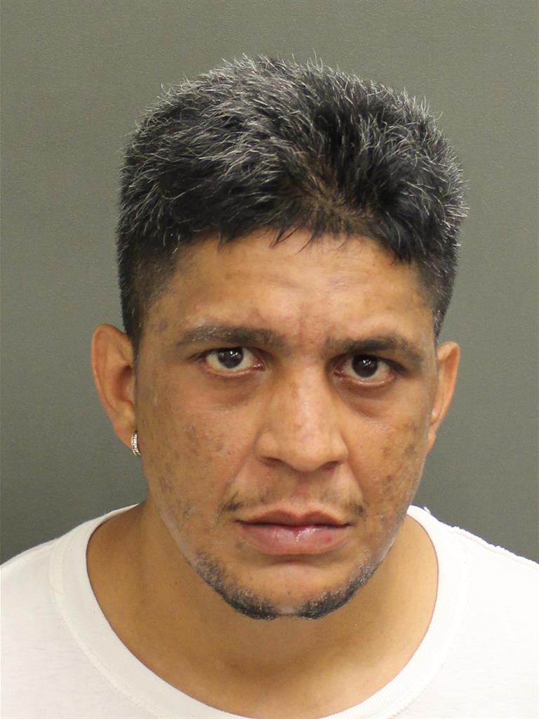  RAYMOND SALCEDO Mugshot / County Arrests / Orange County Arrests