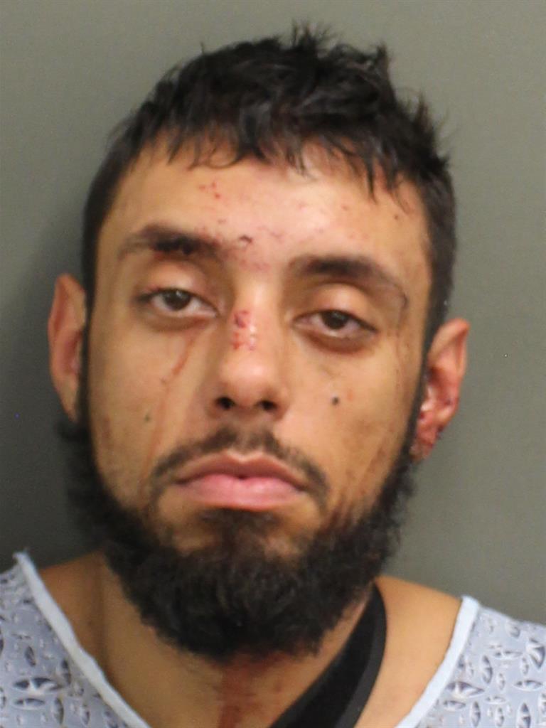  JUAN ANDRES GONZALEZ Mugshot / County Arrests / Orange County Arrests