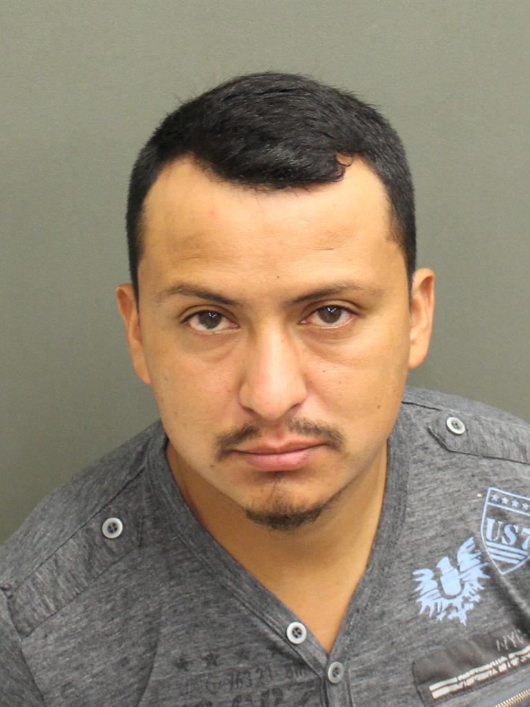  MANUEL LIZARDO GOMEZALVIZURES Mugshot / County Arrests / Orange County Arrests
